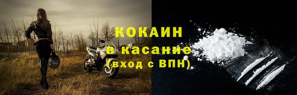 трава Сясьстрой