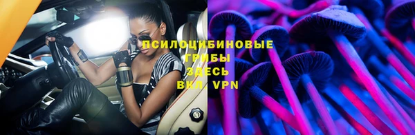 дживик Тавда