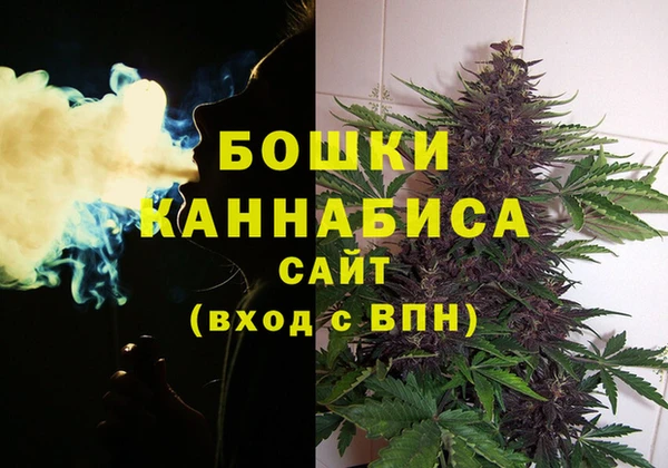 дживик Тавда