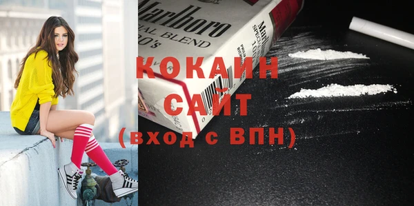 шишки Среднеколымск