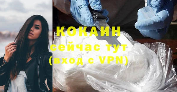 дживик Тавда