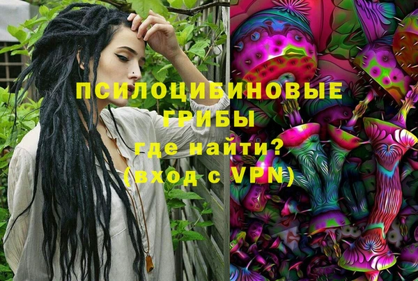 кокс Тайга