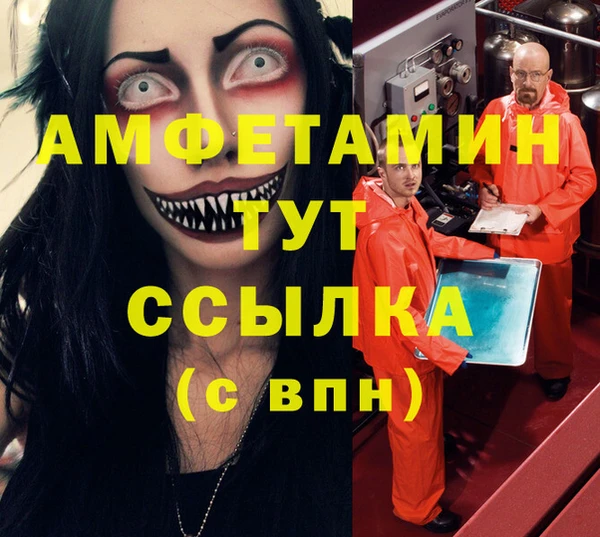 трава Сясьстрой