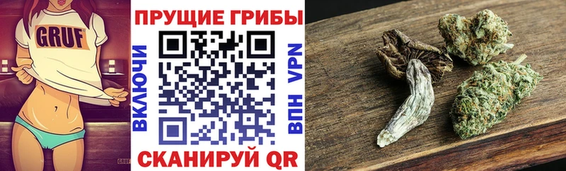 Галлюциногенные грибы GOLDEN TEACHER Ясногорск